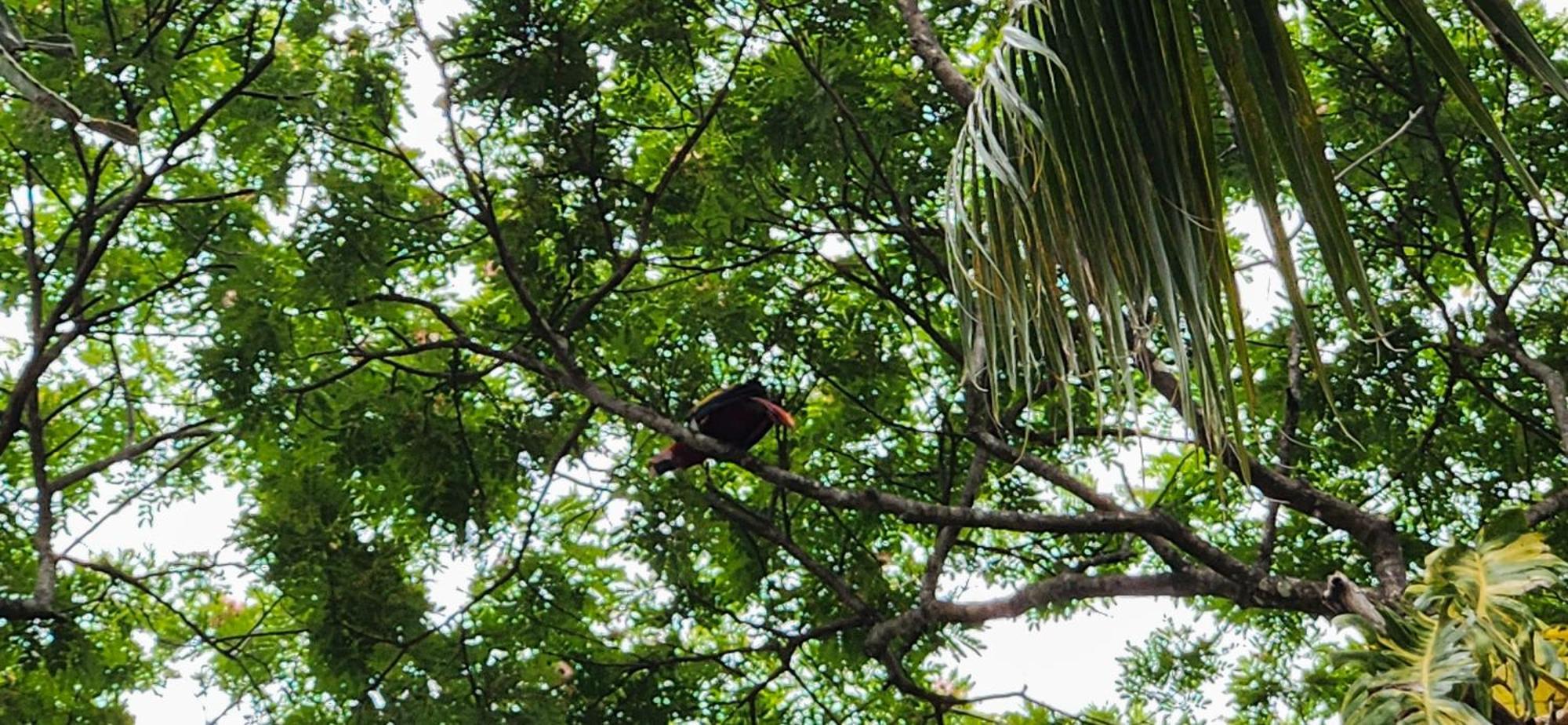 Macaw Paradise 자코 외부 사진
